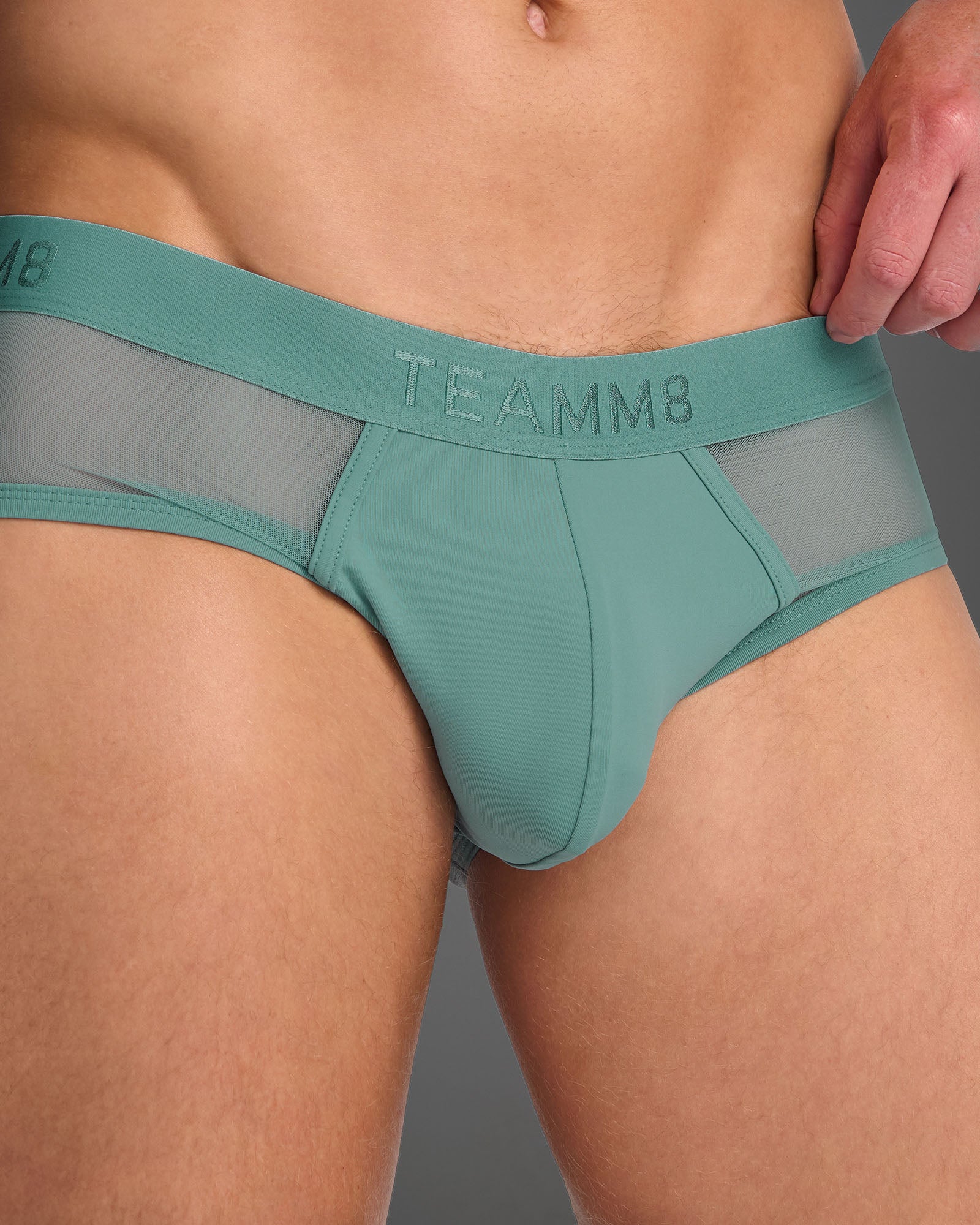 Score Sheer Wide Cut Brief - Teal