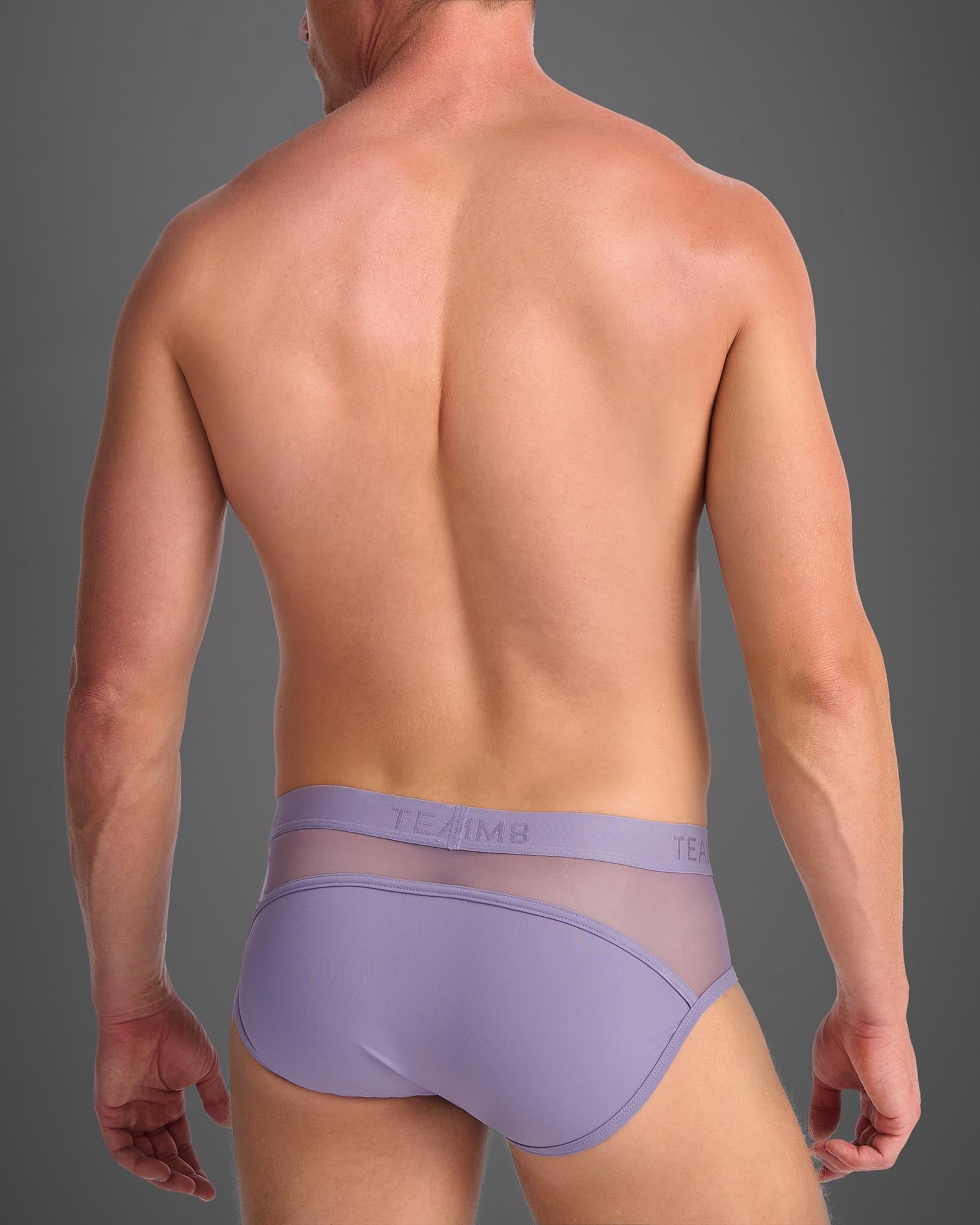 Score Sheer Wide Cut Brief - Lilac Dusk