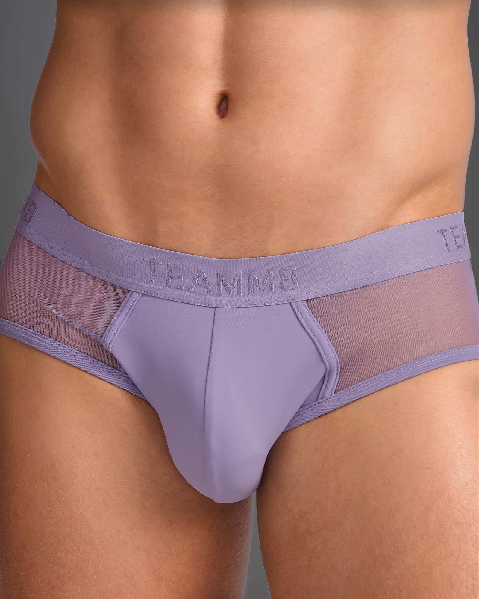 Score Sheer Wide Cut Brief - Lilac Dusk