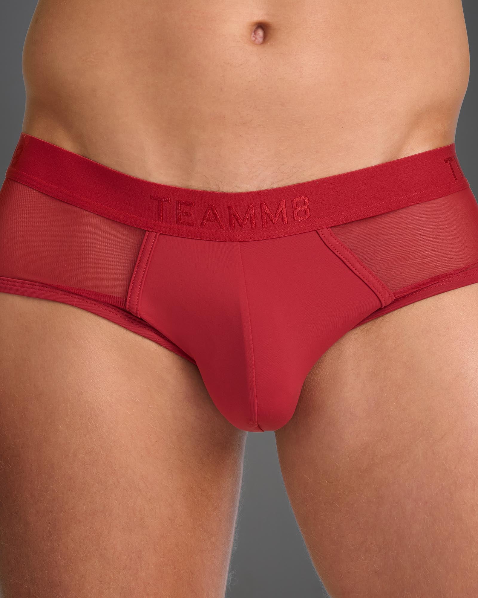 Score Sheer Wide Cut Brief - Jester Red