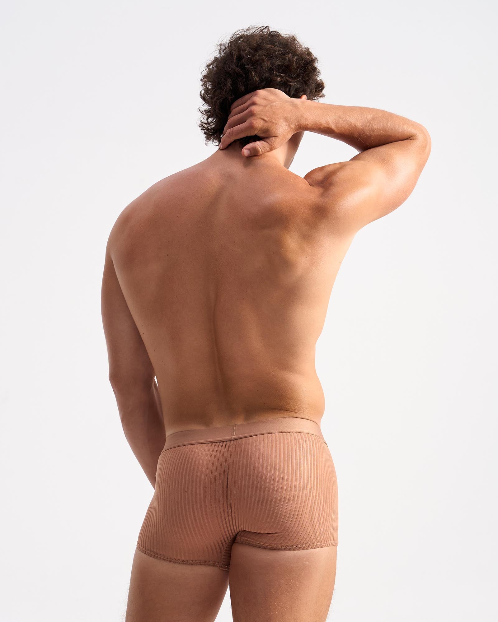 Casanova Trunk - Sepia