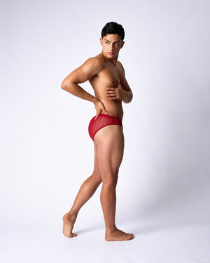 Romeo Sheer Bikini Brief - Cherry