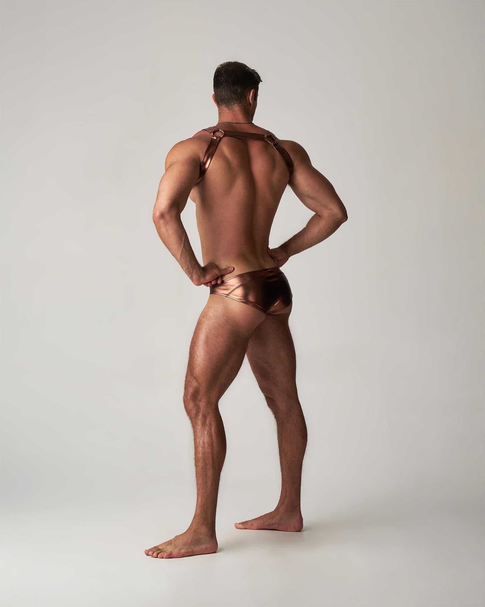 Chrome Harness - Bronze